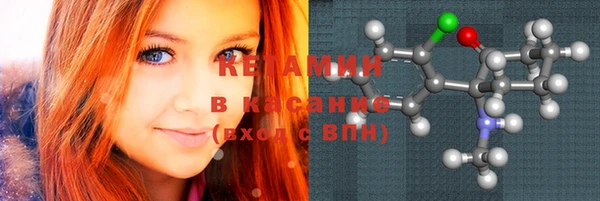 прущие грибы Богданович