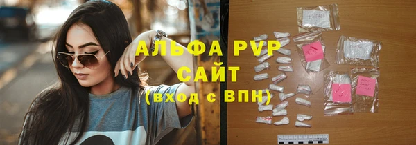трава Бородино