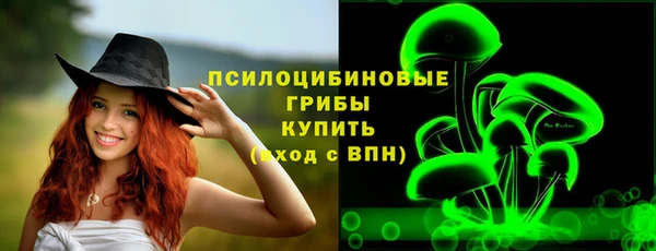 круглые Богородск