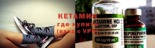 прущие грибы Богданович