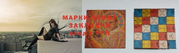 прущие грибы Богданович