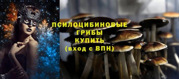 трава Бородино