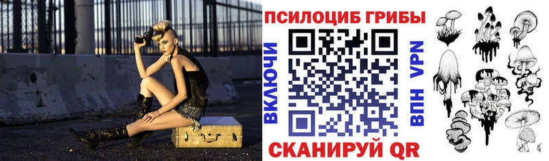 omg как войти  Котлас  Псилоцибиновые грибы мухоморы  где найти наркотики 