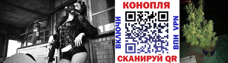 МАРИХУАНА сатива  shop какой сайт  Котлас 